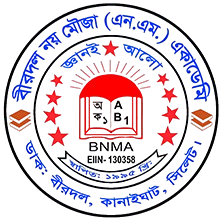 বীরদল নয় মৌজা(এন. এম) একাডেমি