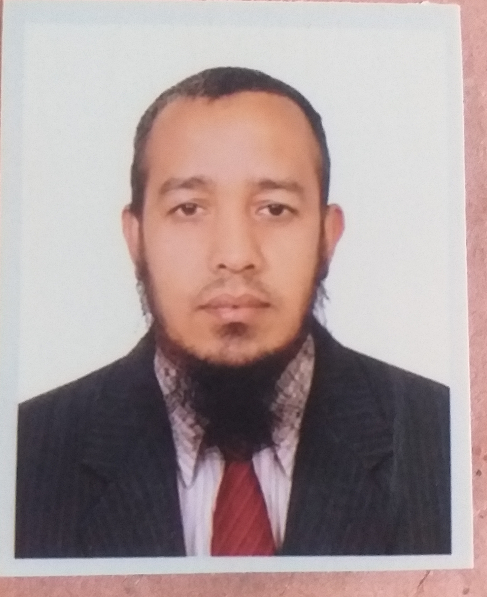 Amir Hussain
